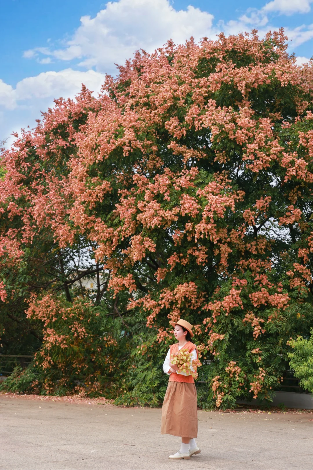 武汉地铁直达/我拍到了史铁生笔下的栾花