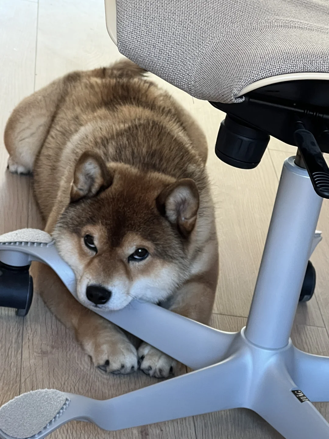 你性格确实有问题，但是你漂亮，所以问题不大