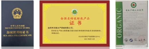 6万立方米深海养黄鱼台州渔业的生态基底2025 年度浙江省高效生态农场公布，台州