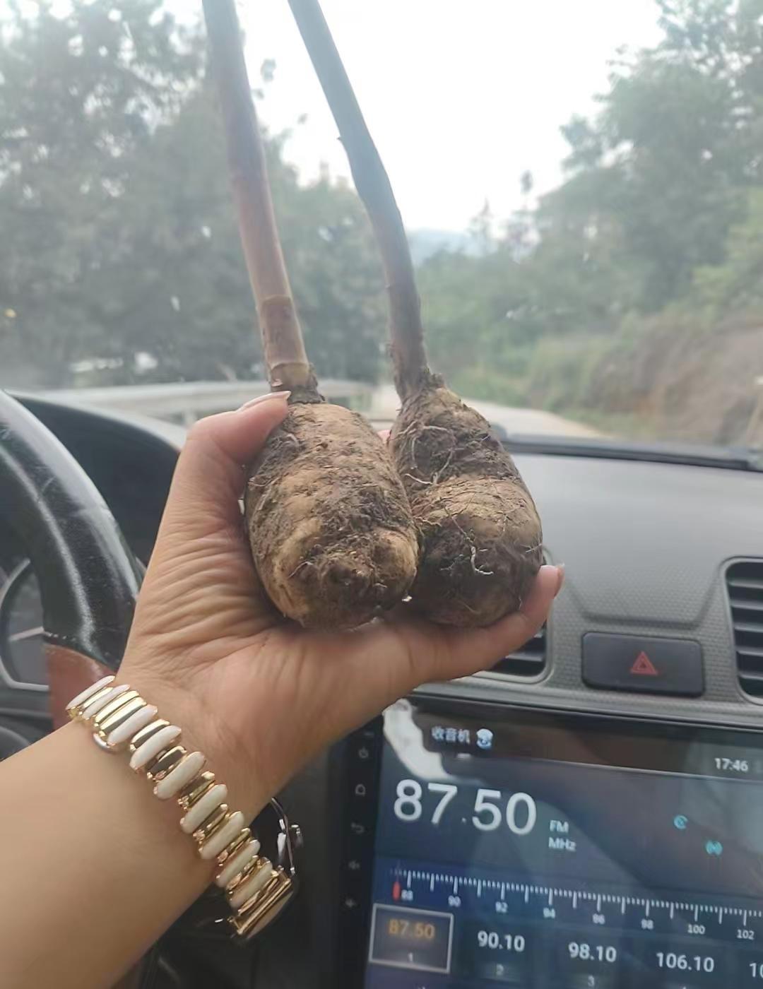 调皮的天，伤心的雨，明天后天还有雨，高兴了晒S你，生气了淋S你一不小心就冻S你，