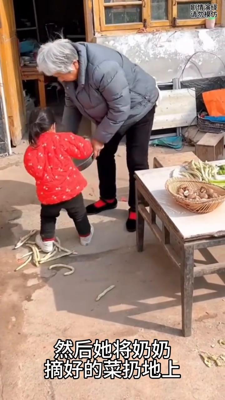 淘气孙女将奶奶摘好的菜扔地上，这一幕真的太搞笑了。
奶奶坐在椅子上在摘菜，这时淘