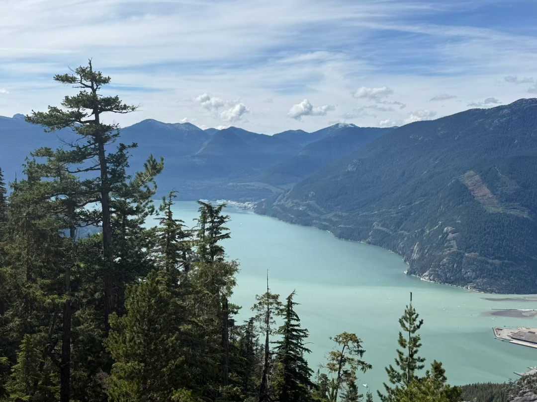松林掩映,峡湾似玉,雪山融水调出的青绿色美到窒息 🏔️ 这一趟徒步真的值了 自