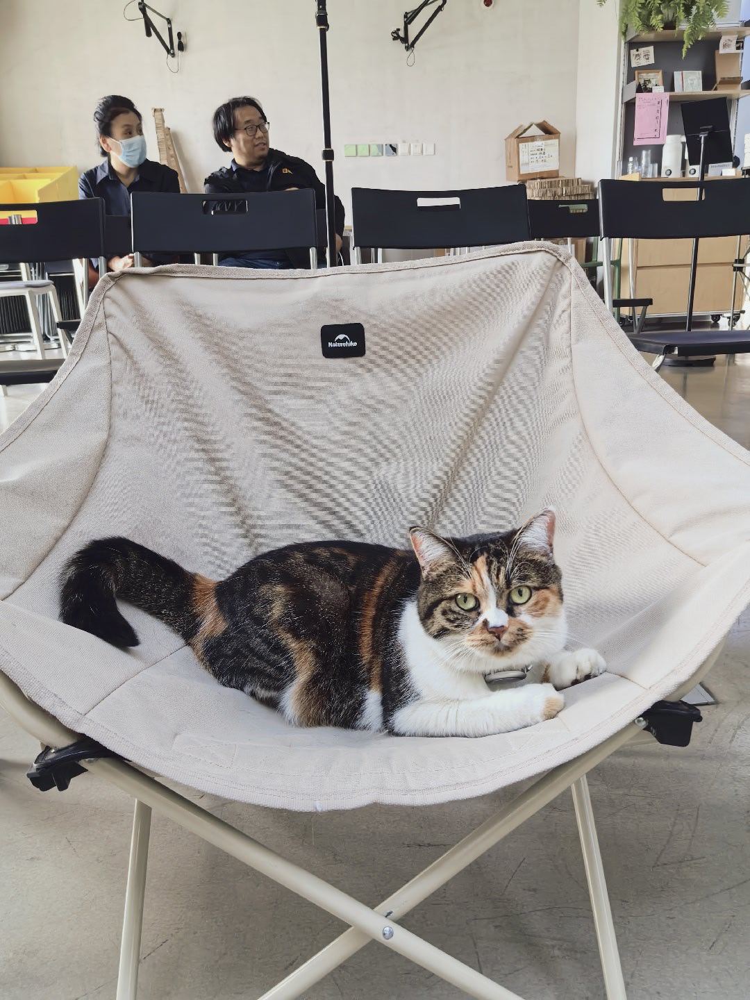 讲课最开心的状态，就是人在听，猫在睡。 ​​​