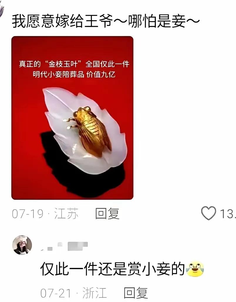 古代的王爷真是奢侈，太壕了，唯一的“金枝玉叶”赏给了自己的小妾