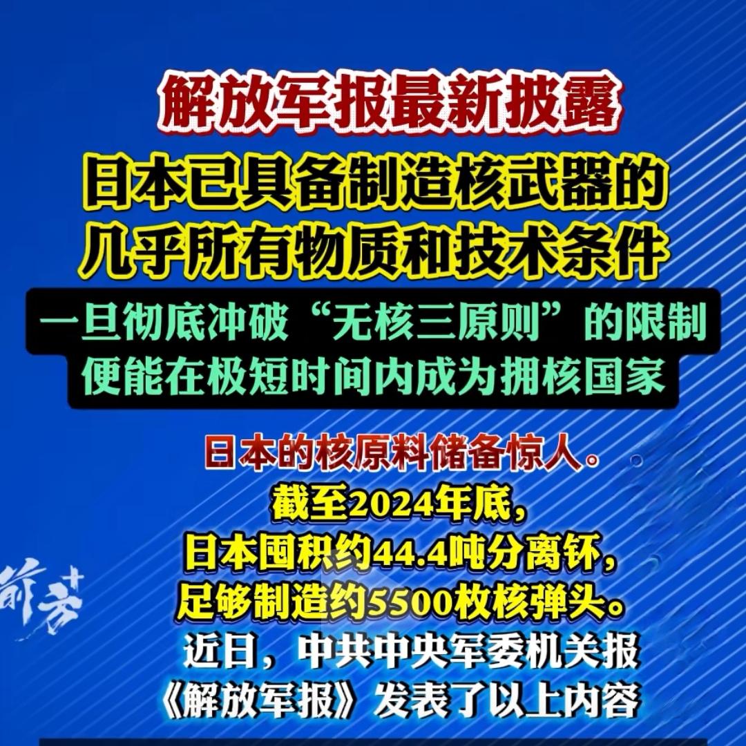 日本当下不可能拥有核武器，
但具备制造核武器的原料与技术是有可能的。
核武器的研
