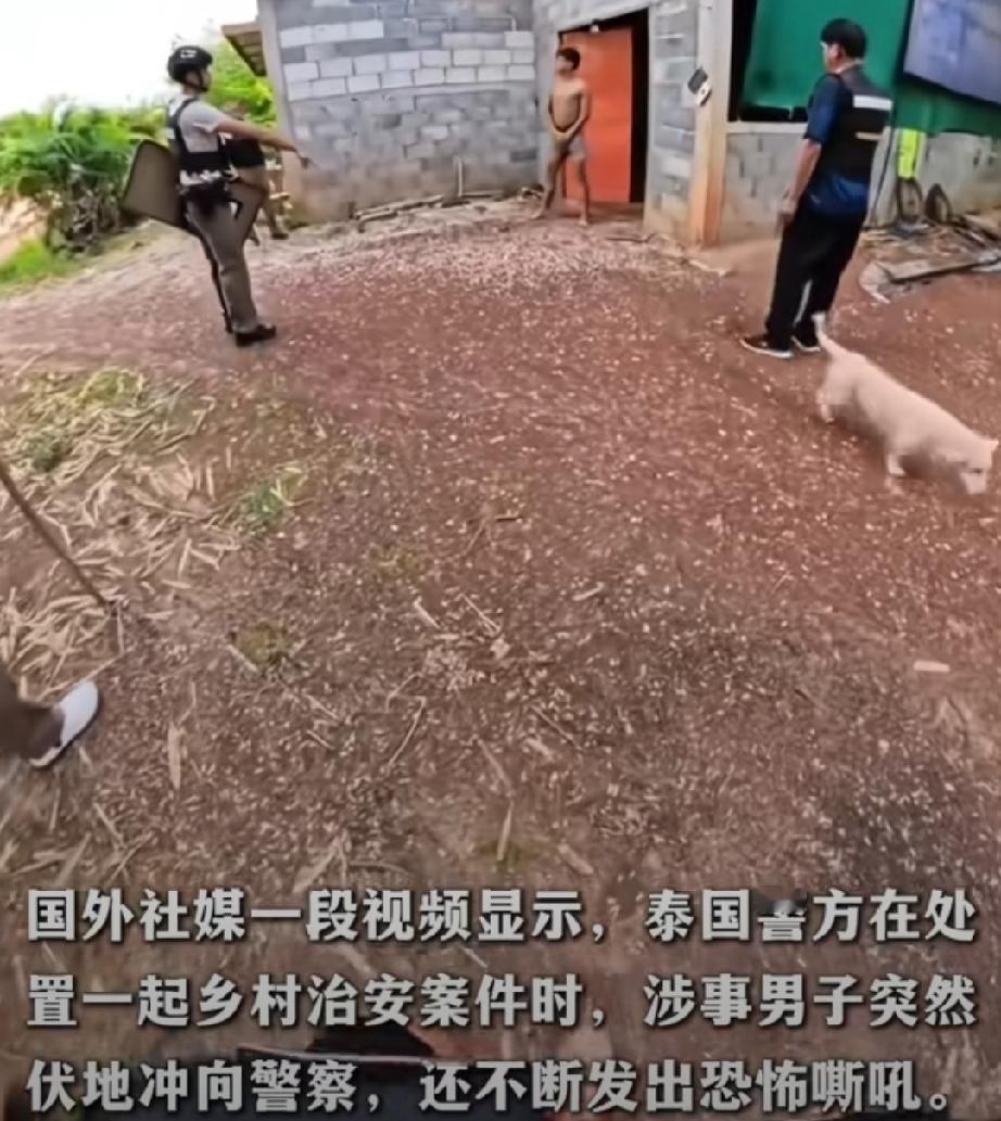 近日，泰国发生一起乡村治安案件。警方接到报警，几名警察迅速包围了嫌疑人的住所，令