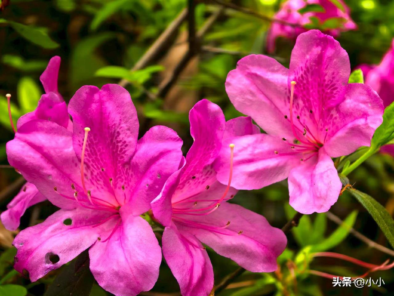 又是当牛做马的一天，上完夜班倒白班
 
小时候总以为，长大就能过上轻松日子，
长