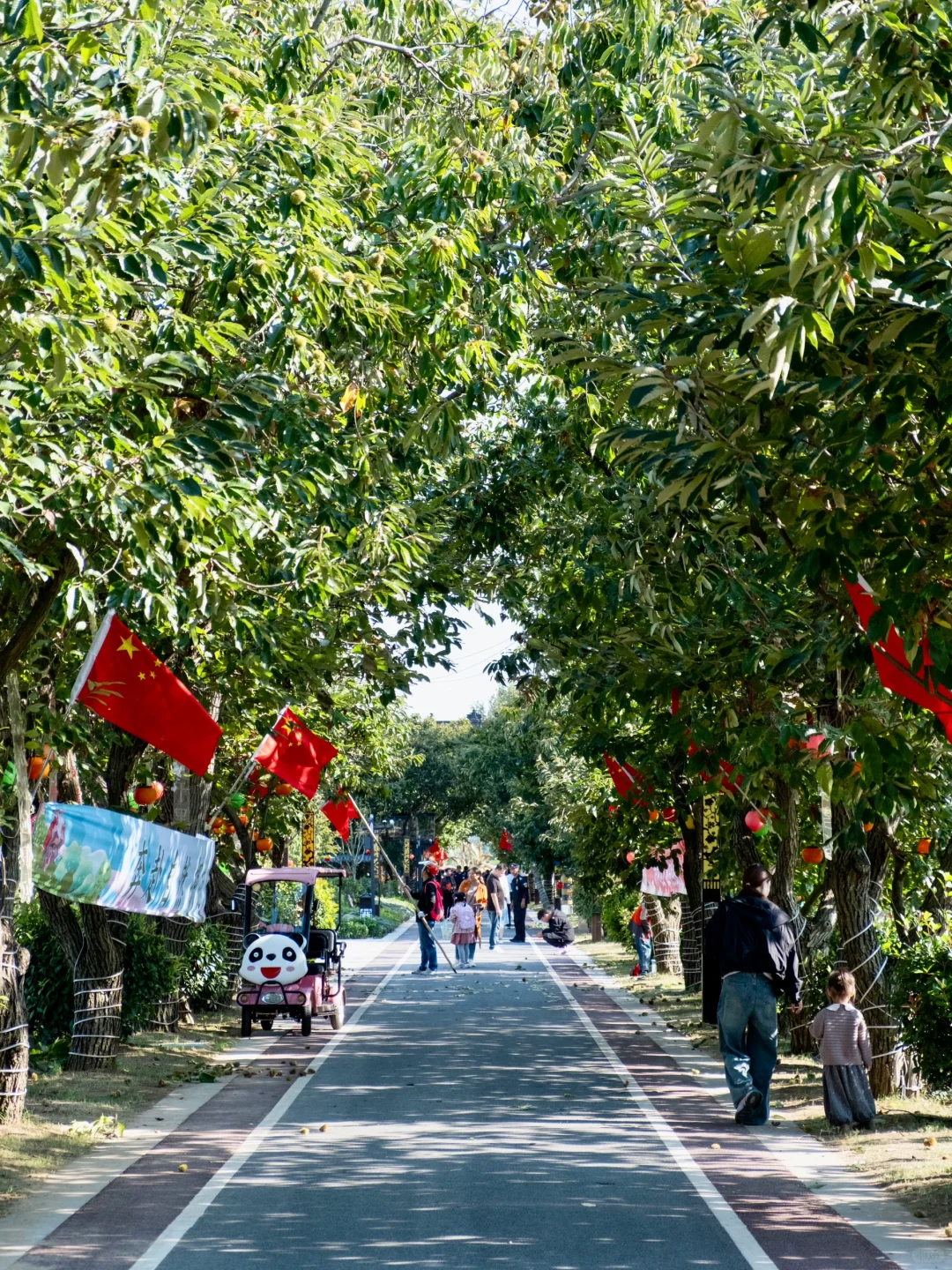 盐城龙冈📍自驾1日游 | “世外桃源”逛吃攻略