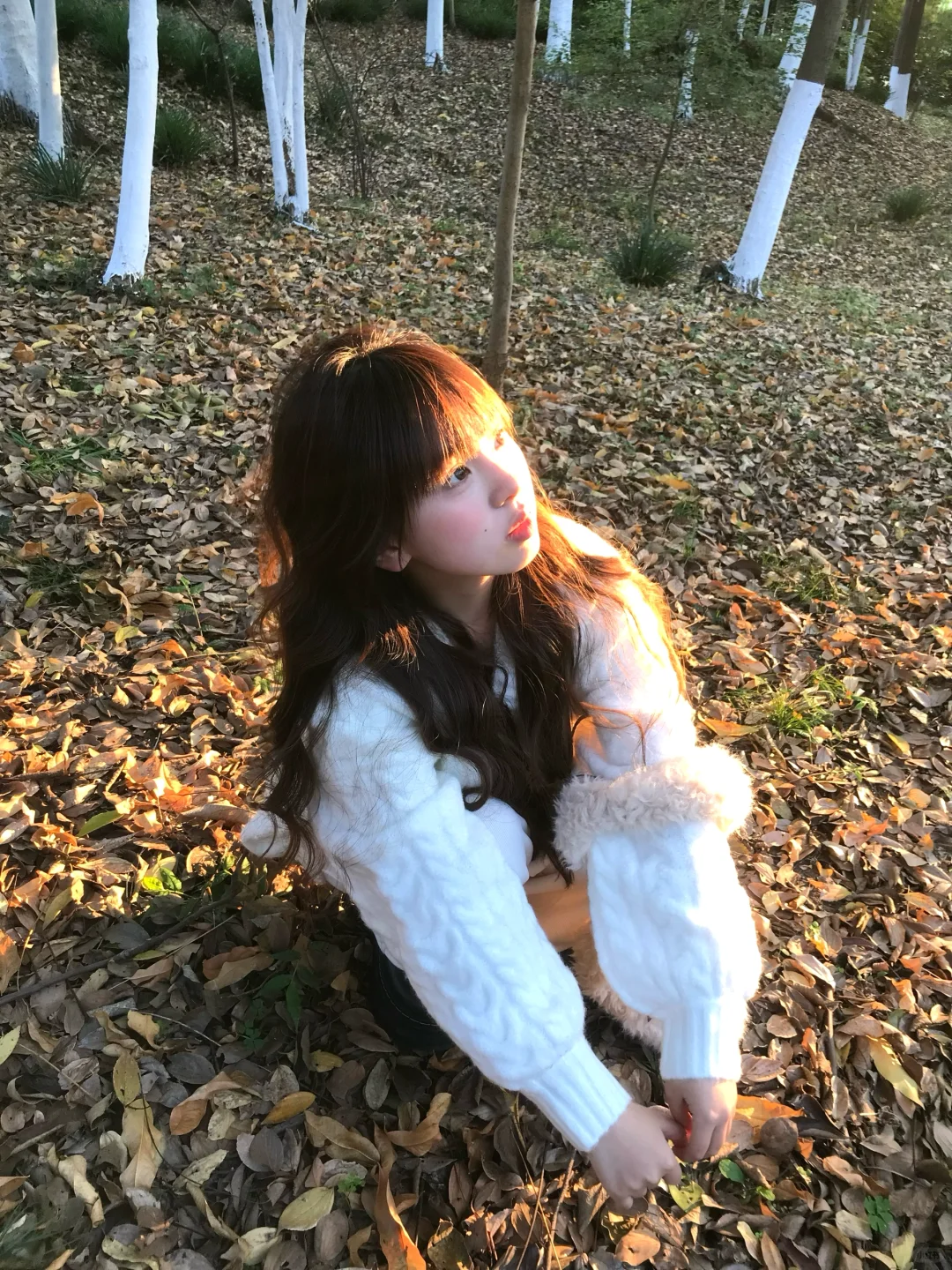 踩落叶🍁