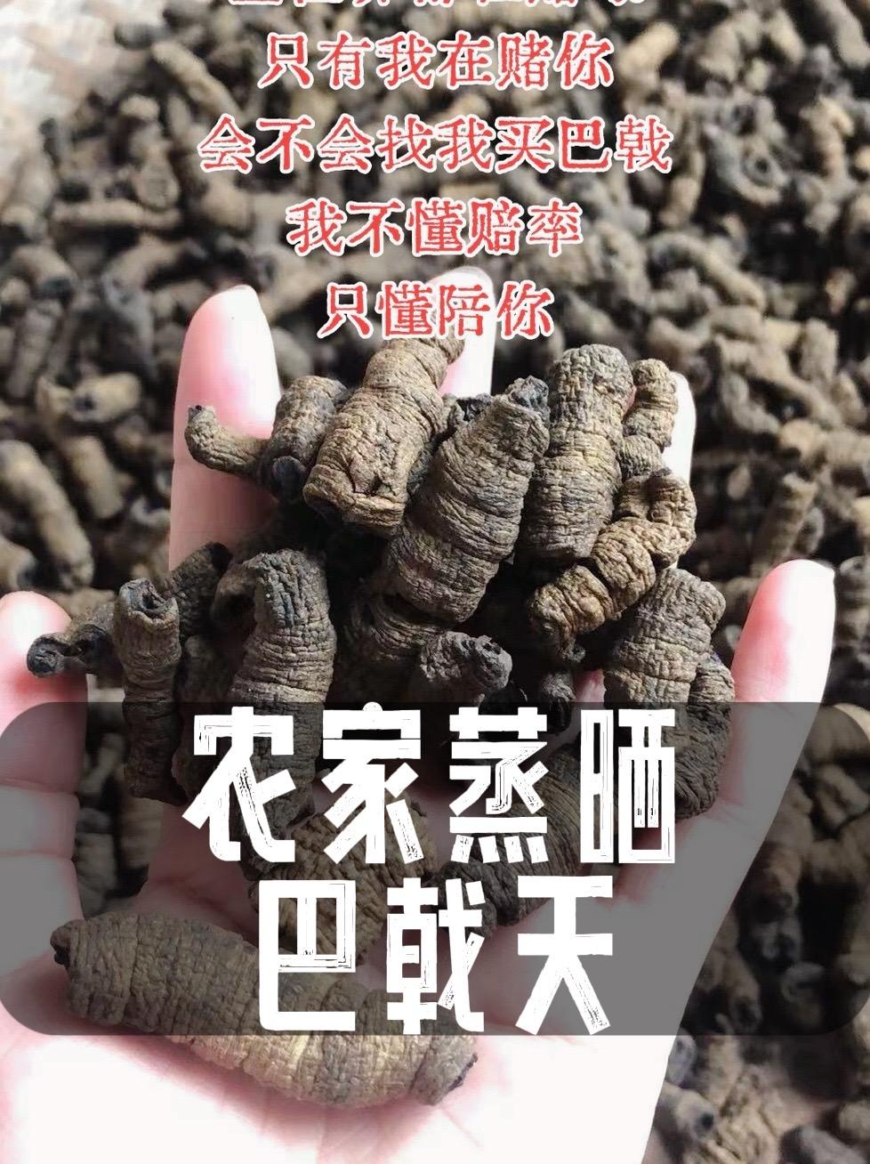 滋补药材 巴戟天 高品质的山货 山货纯天然