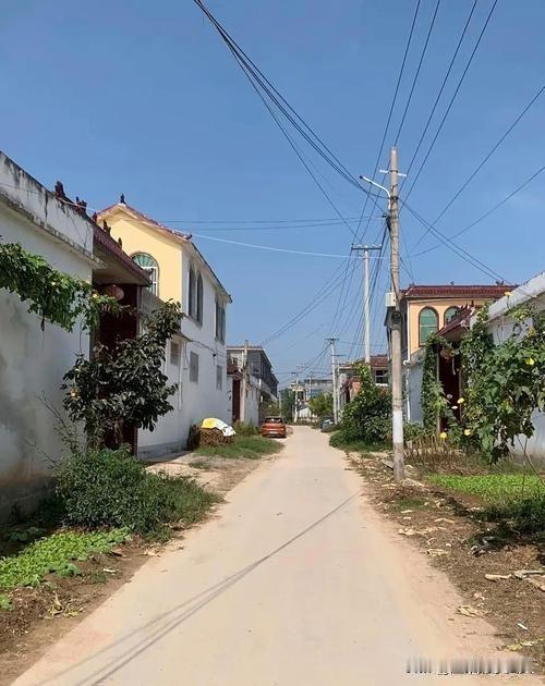村里这通知贴出来，不少人心里都在打鼓。

常住的一年交120，不常住的也得掏60