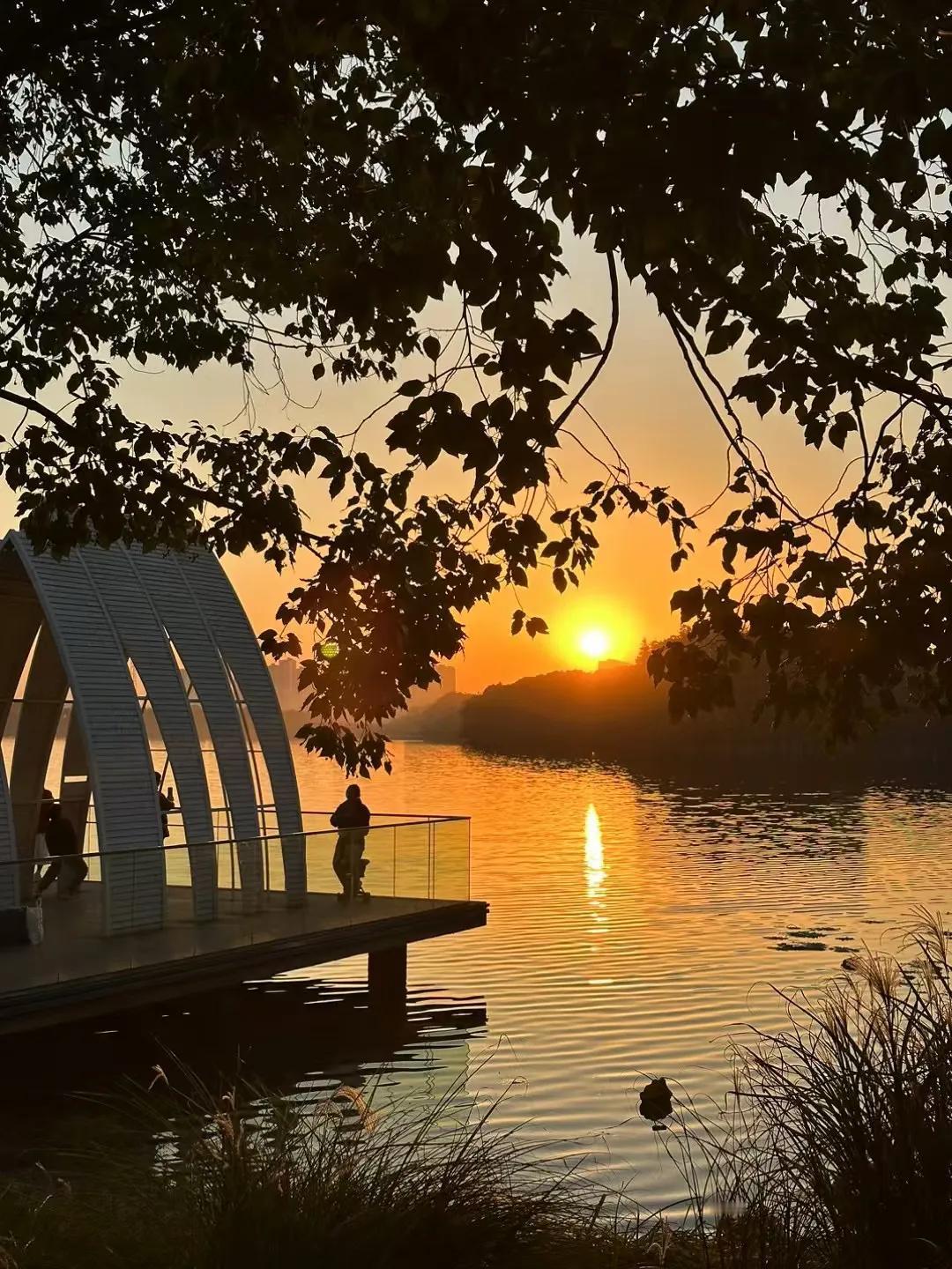 在夕阳的余晖中，金满湖公园里的每一处景色都显得格外动人。远处的山峦在金色的映衬下