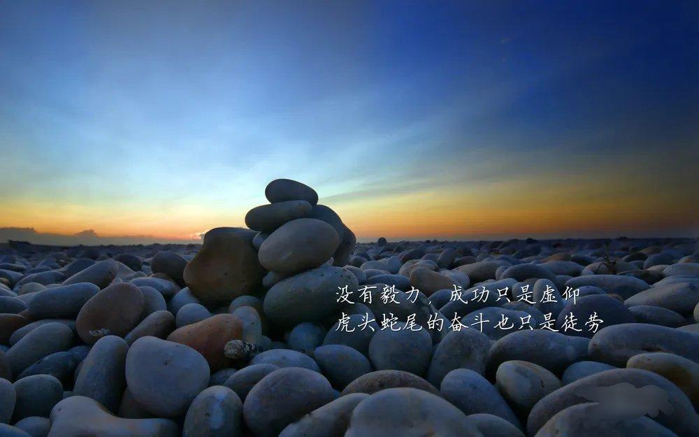 漫漫前路，还有许多风雨需要去经受，亦还有许多风光等待着去享受，只愿不再脆弱到不堪
