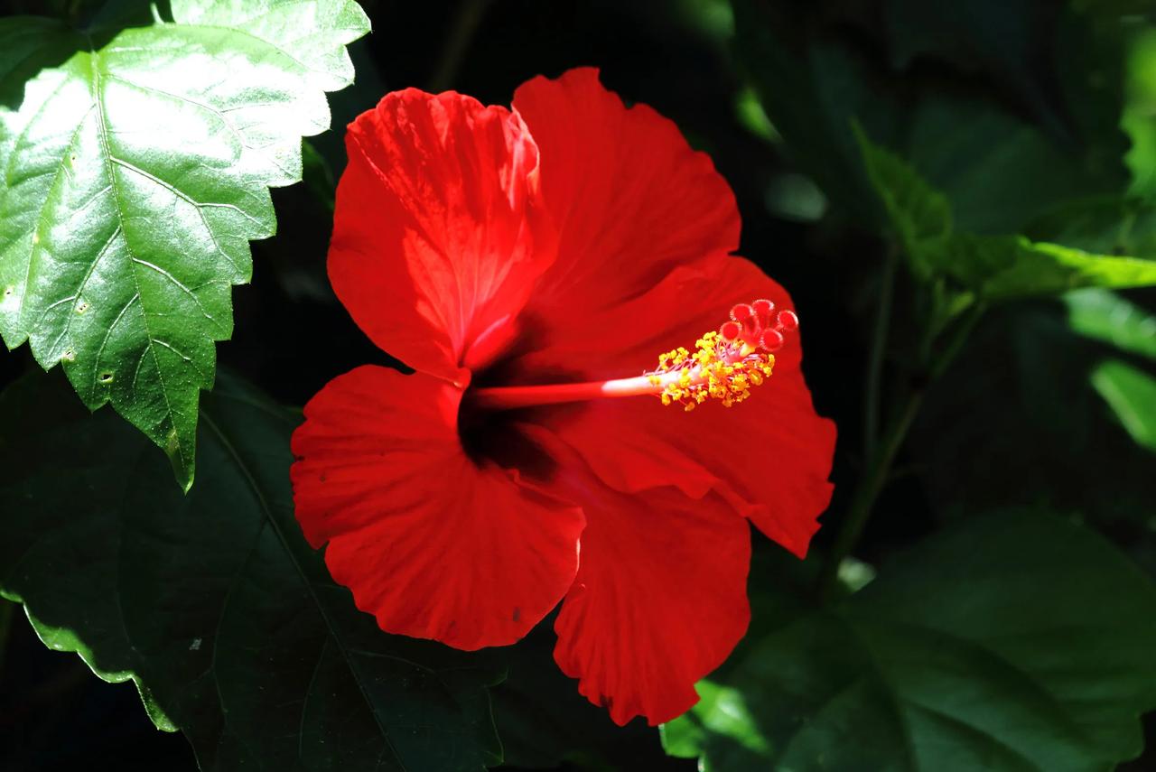 #秋日生活打卡季#

今晚看了两场乒乓球比赛。女双决赛，小将钱天一陈幸同获得了冠