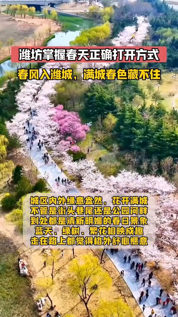 潍坊掌握春天正确打开方式。
春风入潍城，满城春色藏不住。春风一吹，潍坊的春天就藏