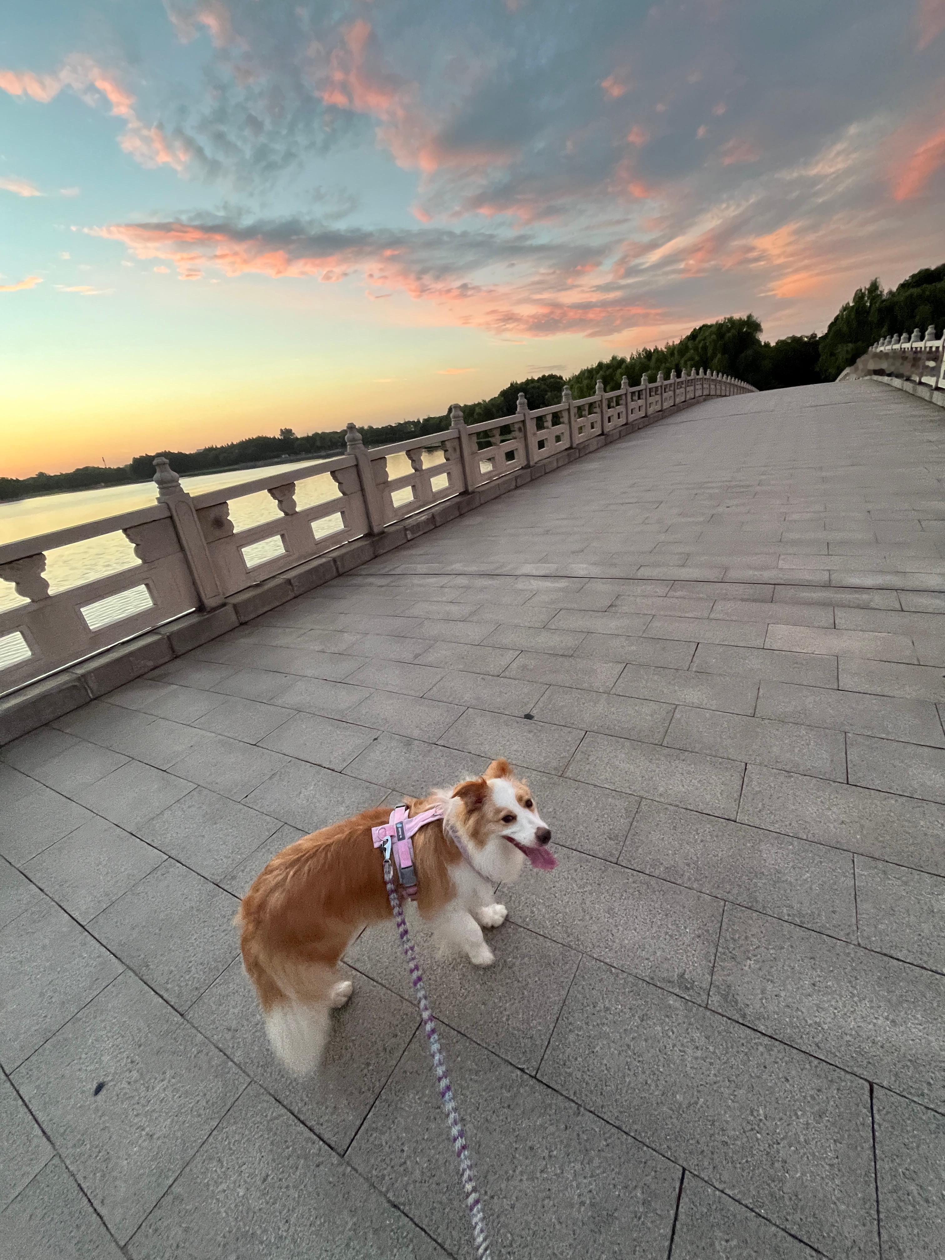 朝霞！千岁日记