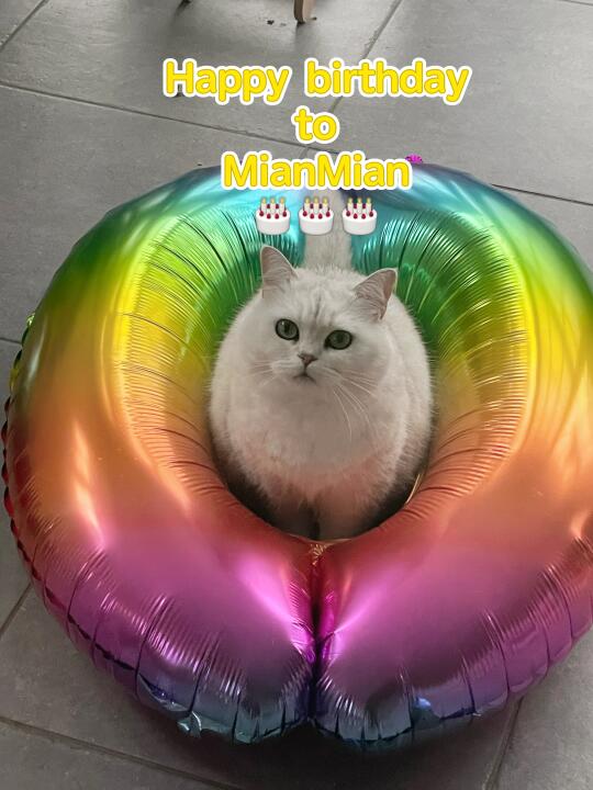 绵绵6岁生日快乐🎂