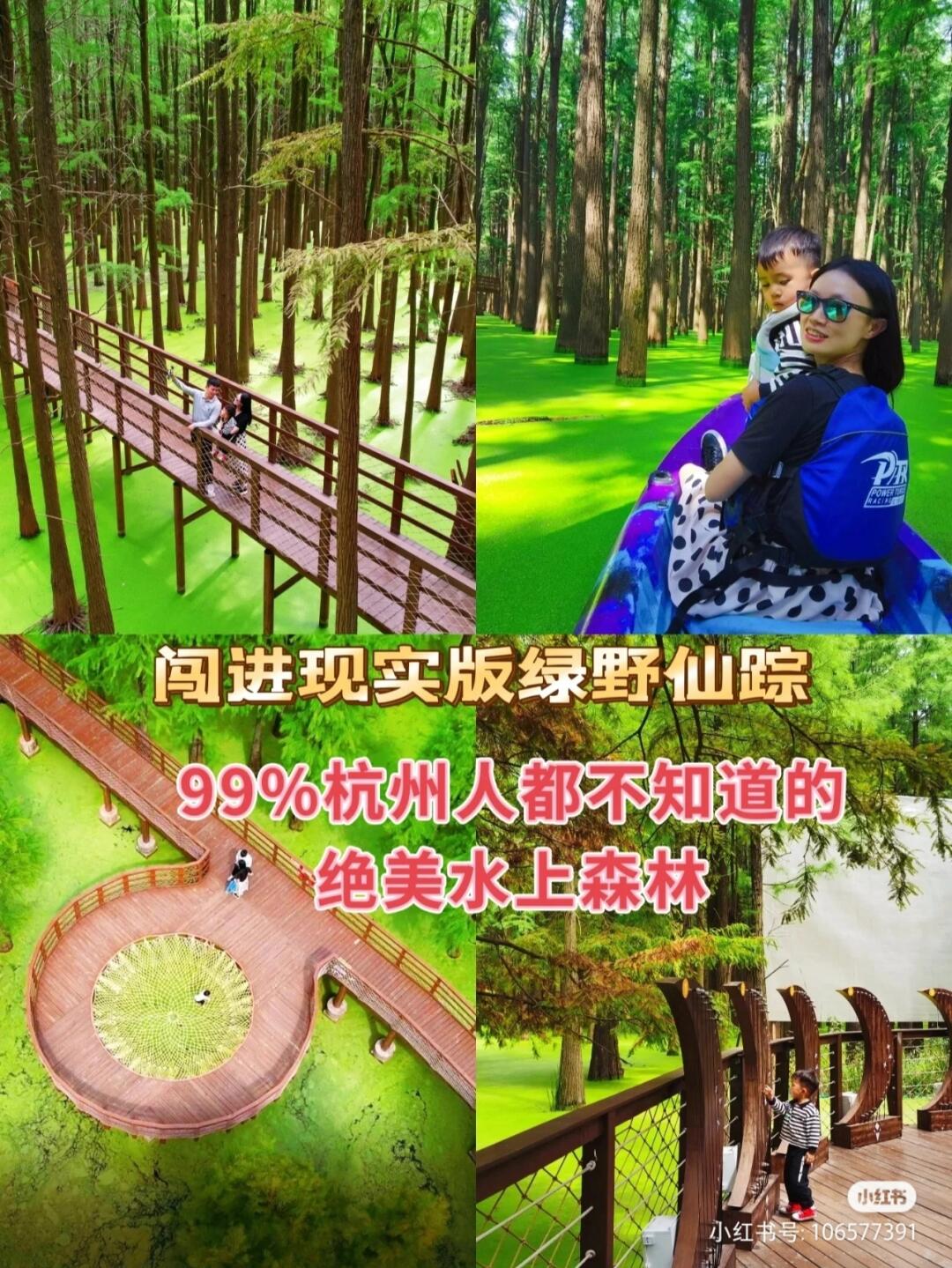 青山湖水上森林，闯进现实版绿野仙踪