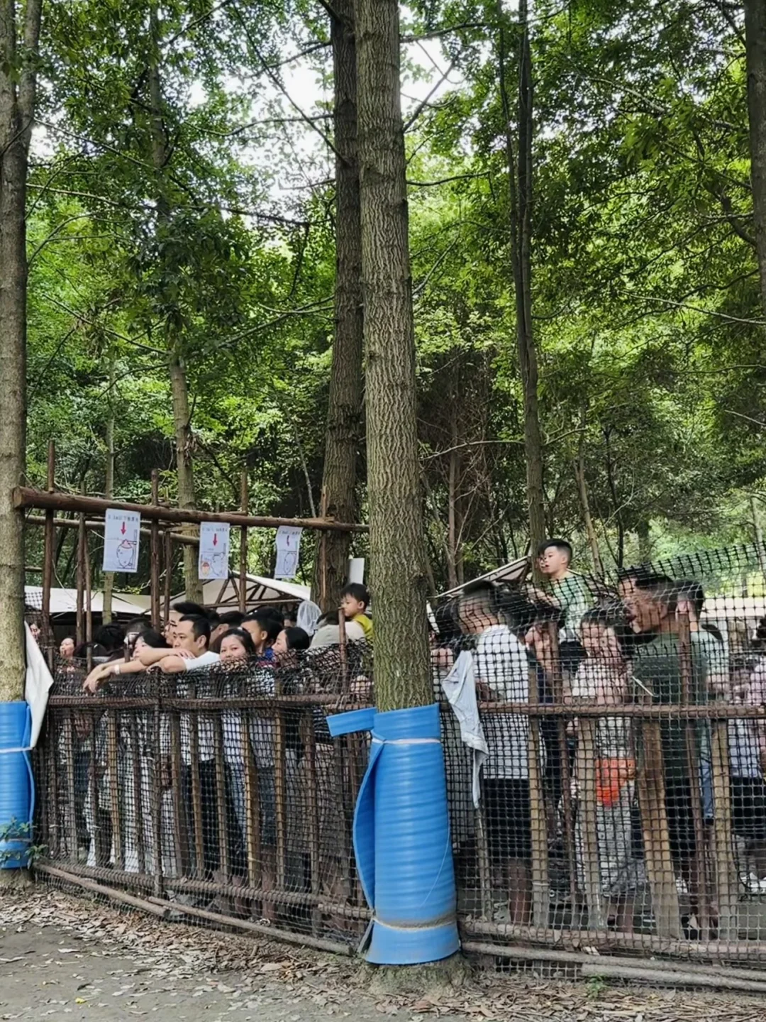 成都这家营地堪比高考现场💯一天给你包全✌️