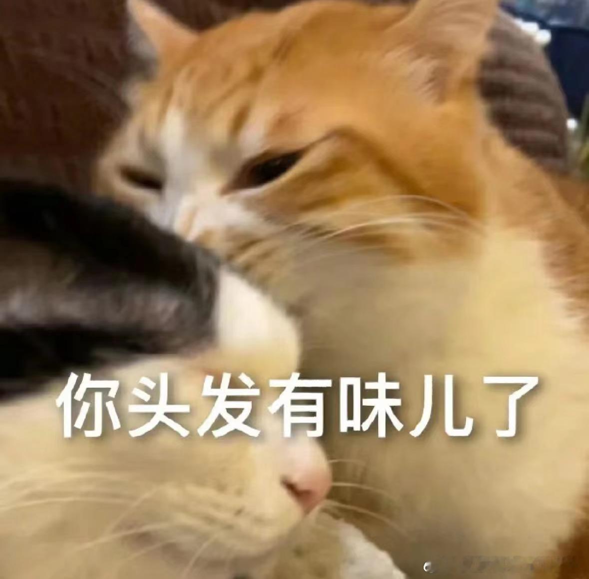 洗头时的错误示范，你中了几个？1、用热水洗头2、头发打湿后用梳子梳头3、直接往头