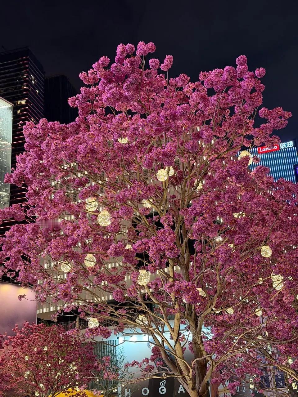 听我一句劝，如果在职场晋升不上去，做两手准备是明智之举。

我有个客户，单位晋升