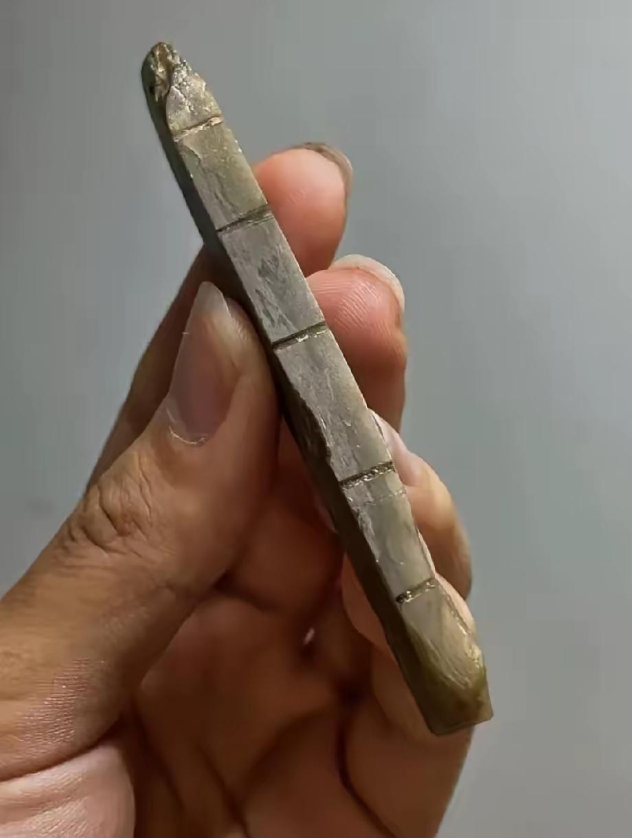 开废品收购站的老周，前几天遇上一桩怪事，这事在街坊里传开了。
 
那天中午，两个