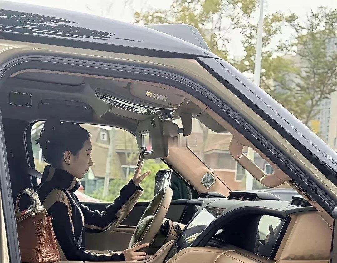 买这车的一般都是女微商吧 