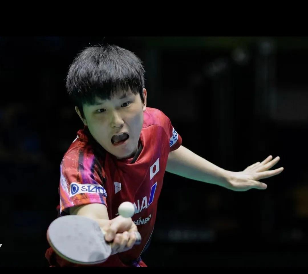 张本智和一家，格局确实太小了！
1，张本加入日本就想赢中国，目的战胜中国球员，输