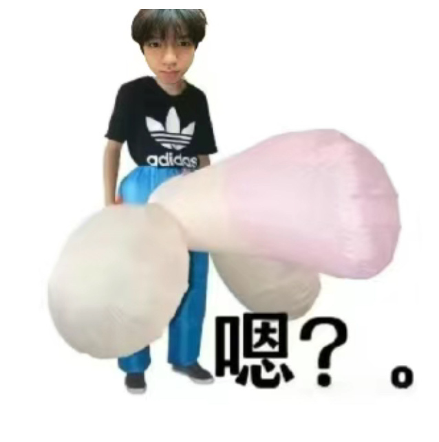 被电我也认了宝宝富贵咪