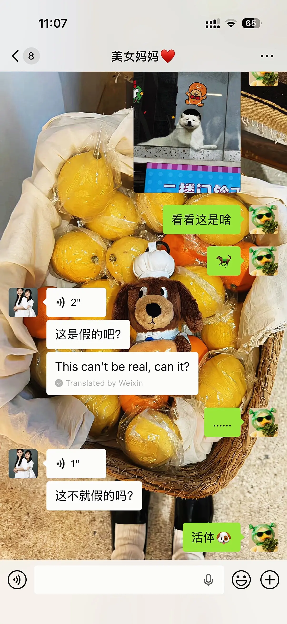 狗不狗的 还得问我妈。还得是我妈