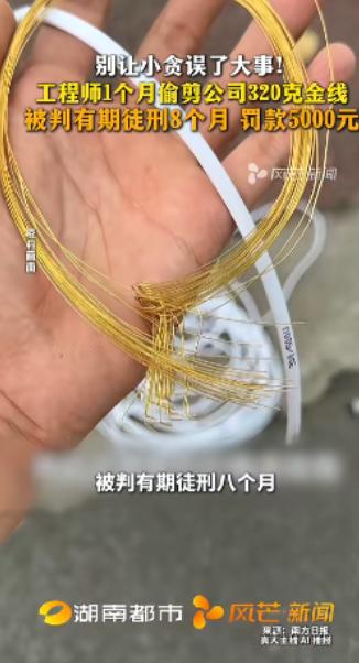 5月2日福建厦门检察机关披露：一工程师借调试设备之机，屡次偷剪3至5厘米纯金导线