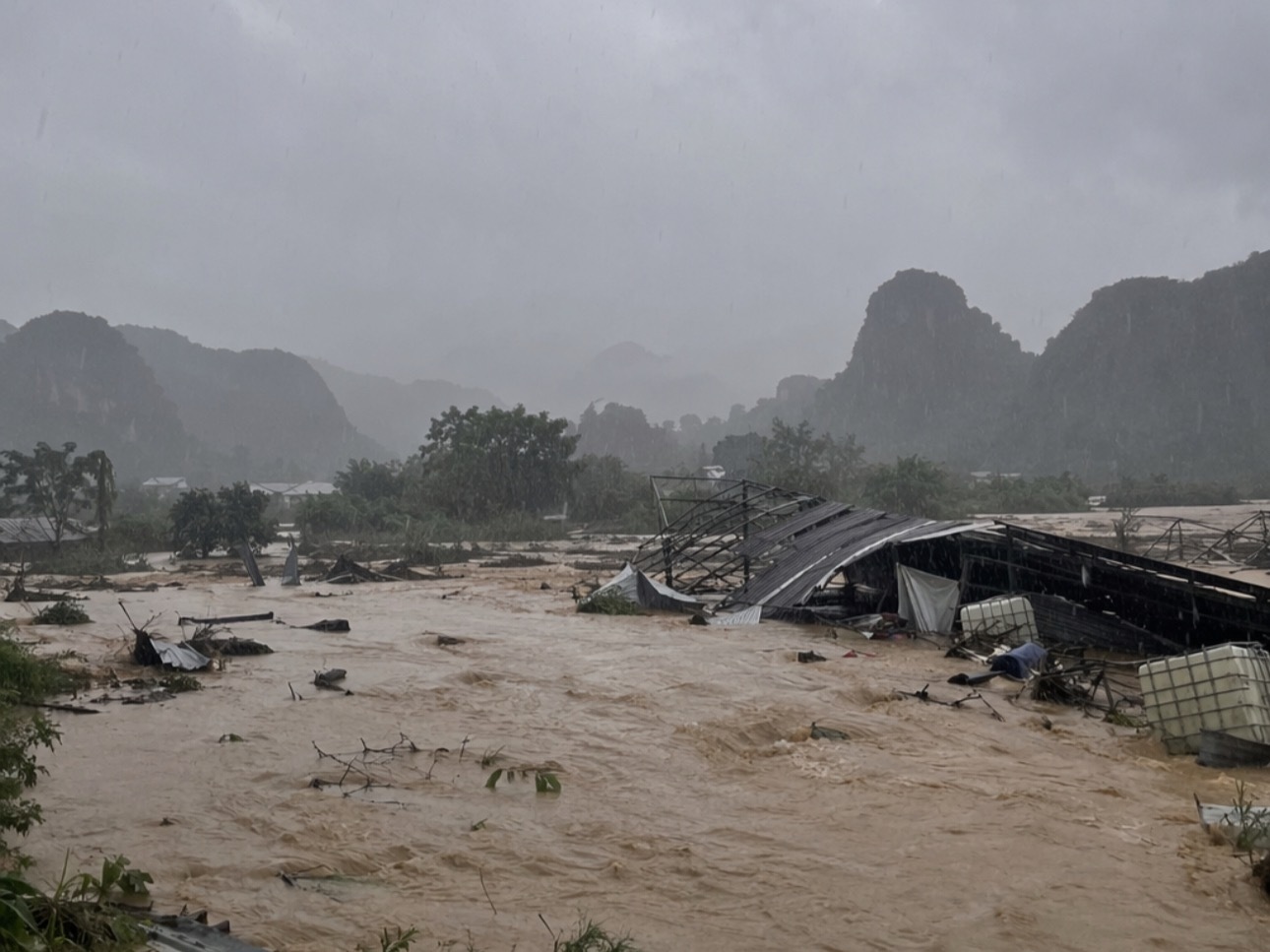 广西这雨下得太吓人了，洪水直接冲垮了养蛇场，眼镜蛇都跑出来了，想想都头皮发麻。?