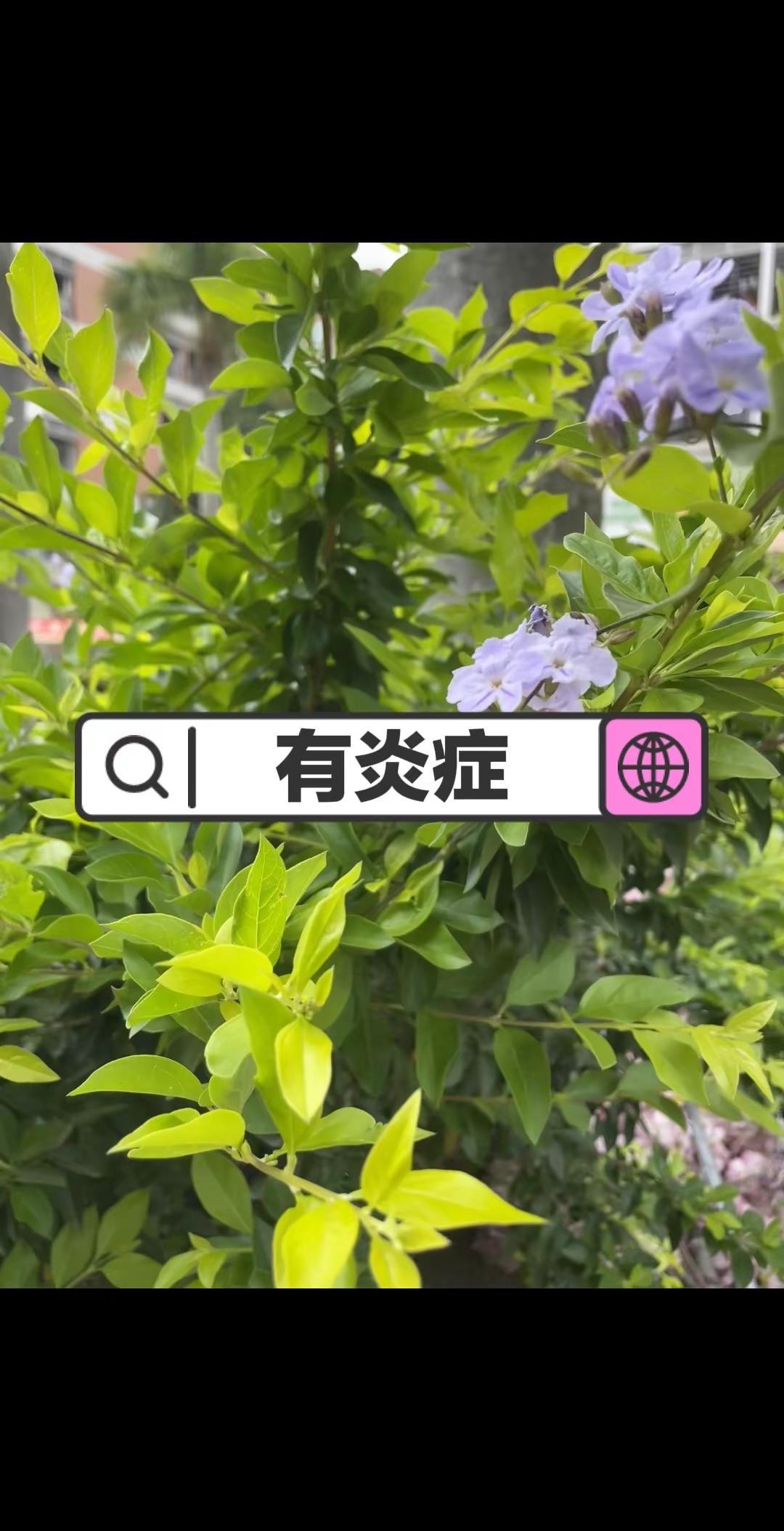 有炎症枯木逢春 就是养健康 养生