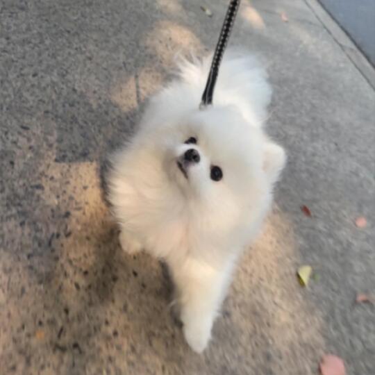 去打工啦