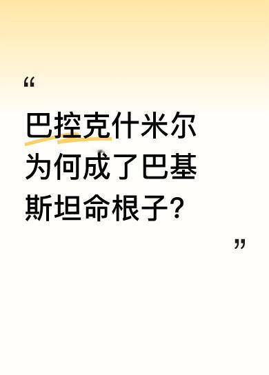 如今巴控克什米尔意义非凡，它是巴基斯坦唯一能和中国接壤的区域，一旦丢失，就切断了