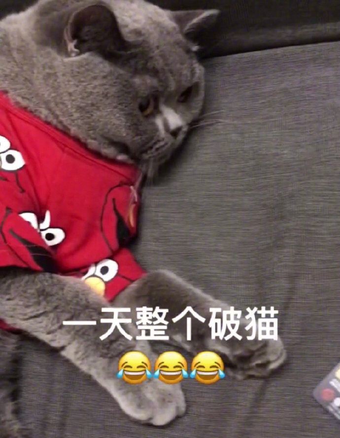 当代年轻人的真实生活状况 ​​​