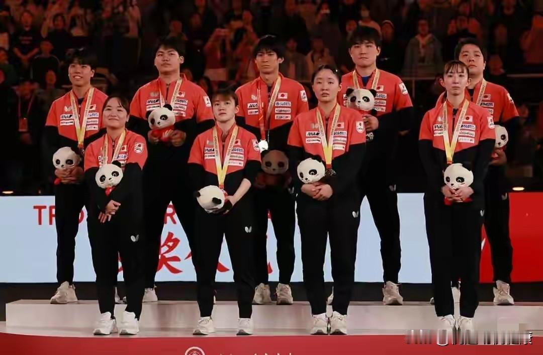 8-1惨败！日本球迷怒轰昏招，中泽睿缺席领奖，张本黑脸。
 
2025混团世界杯