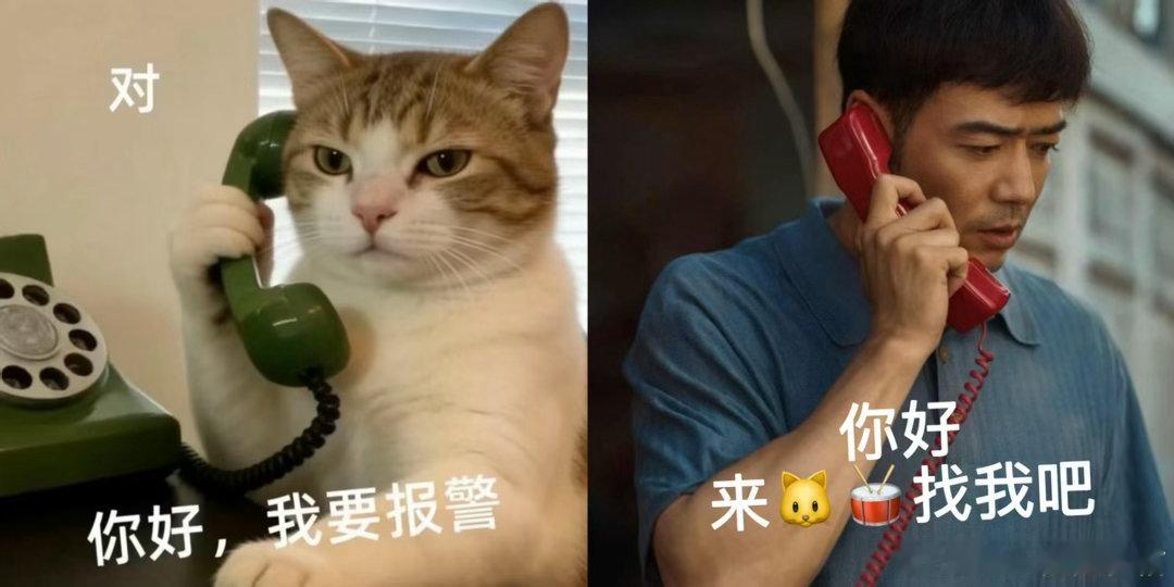 悬案野狗集美凑一桌了很难不被这次双剧联动燃到极致，球场拼搏热血与探案缜密智慧碰撞