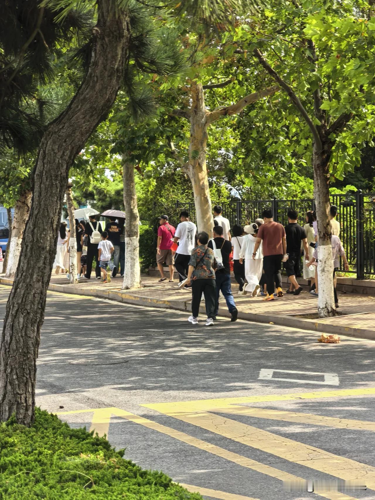 开学了，上班了，最后的旅行团要走了！