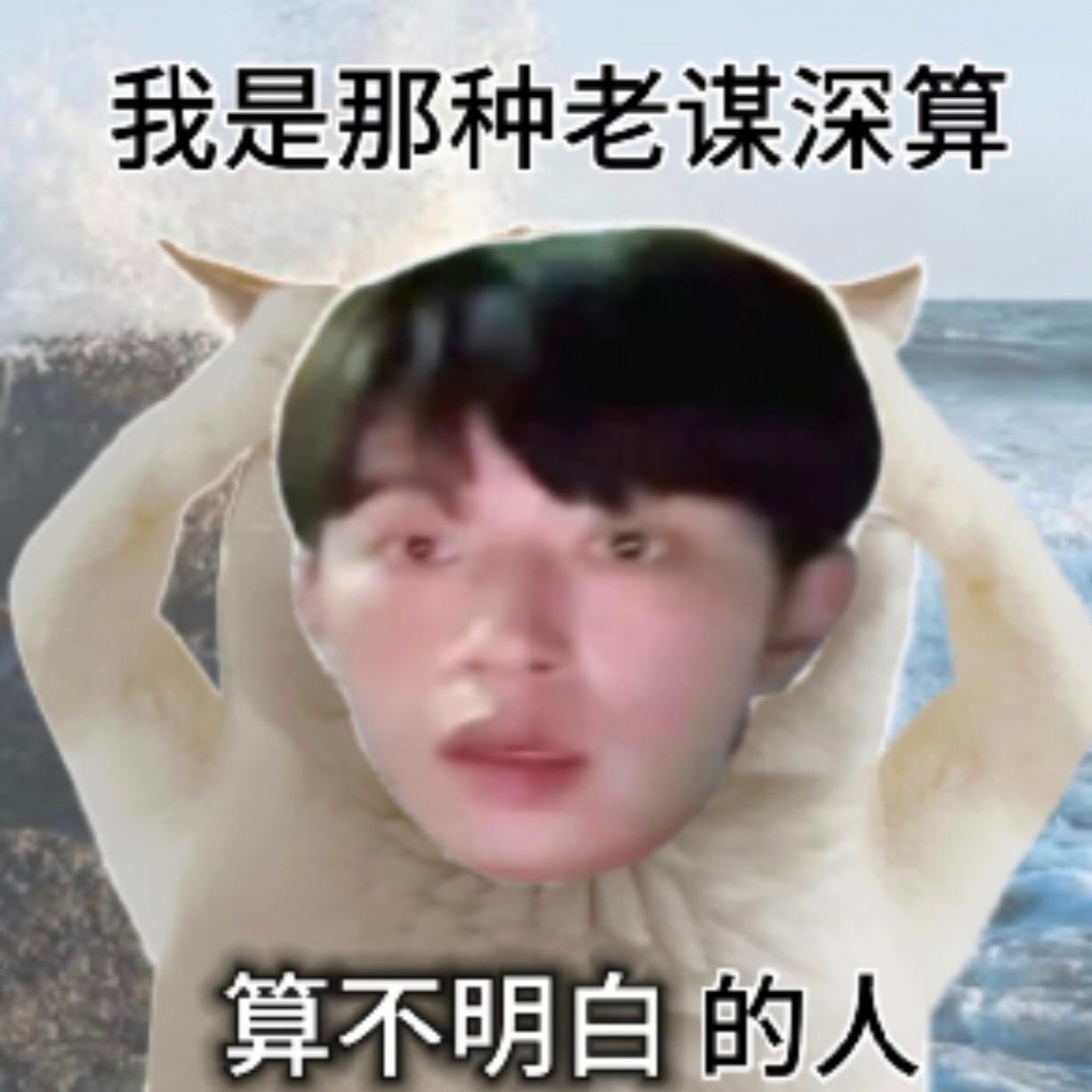 所以现在买哪个 