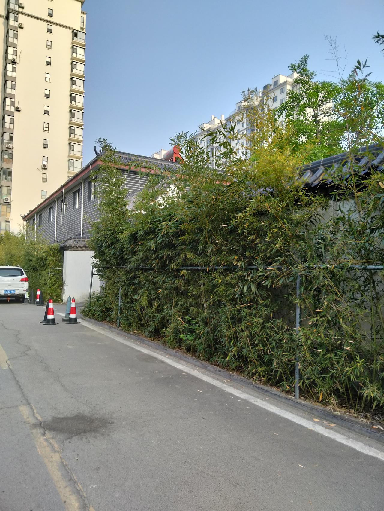 亲不亲，家乡人。回归故里，看到我叔的几个儿子和孙子都是大鹏展翅，事业有成，我心里