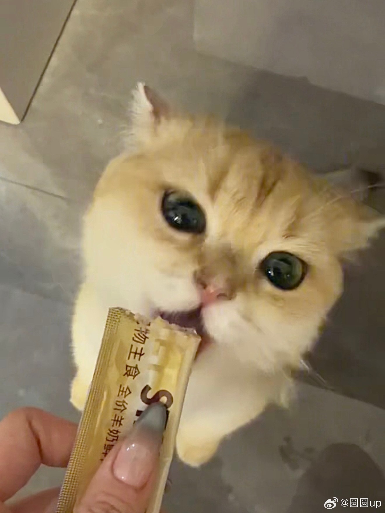 有没有像主角那种超级有泪点 超级好看的电视剧 推荐推荐 