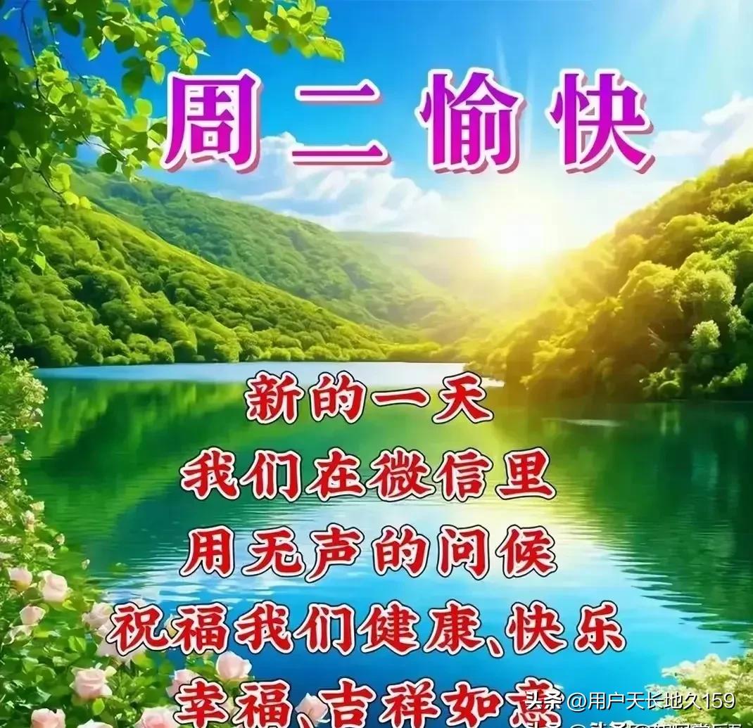 欣赏佳作！精彩纷呈！
妙笔生花！写的真好！
才思敏捷！支持点赞！
下午好友！周二