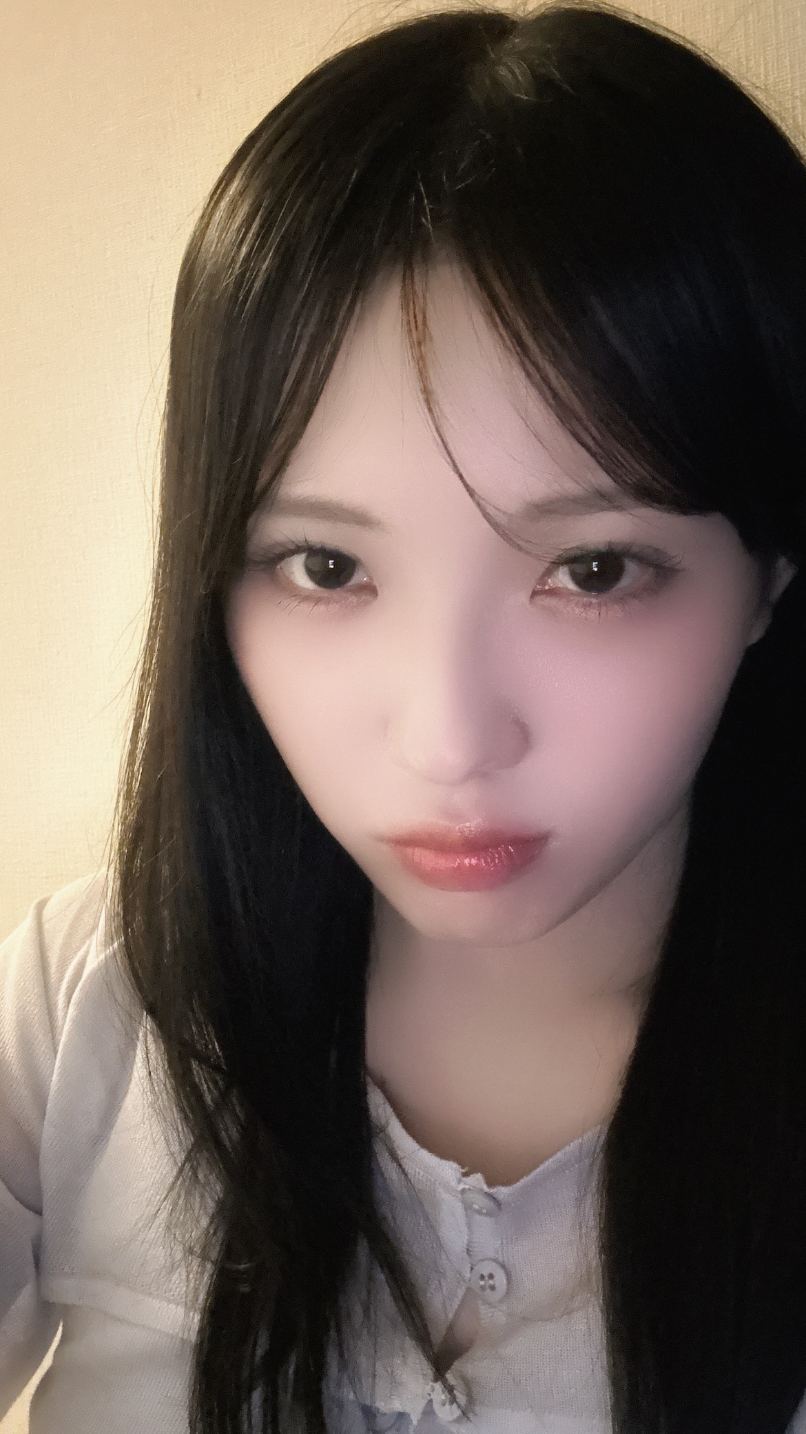 森本茉莉🐨mariegram