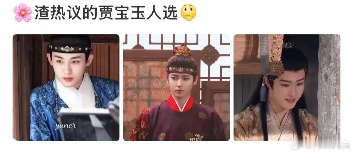 贾宝玉人选新版红楼梦贾宝玉人选新版红楼梦贾宝玉人选，董思成侯明昊田嘉瑞，[心] 