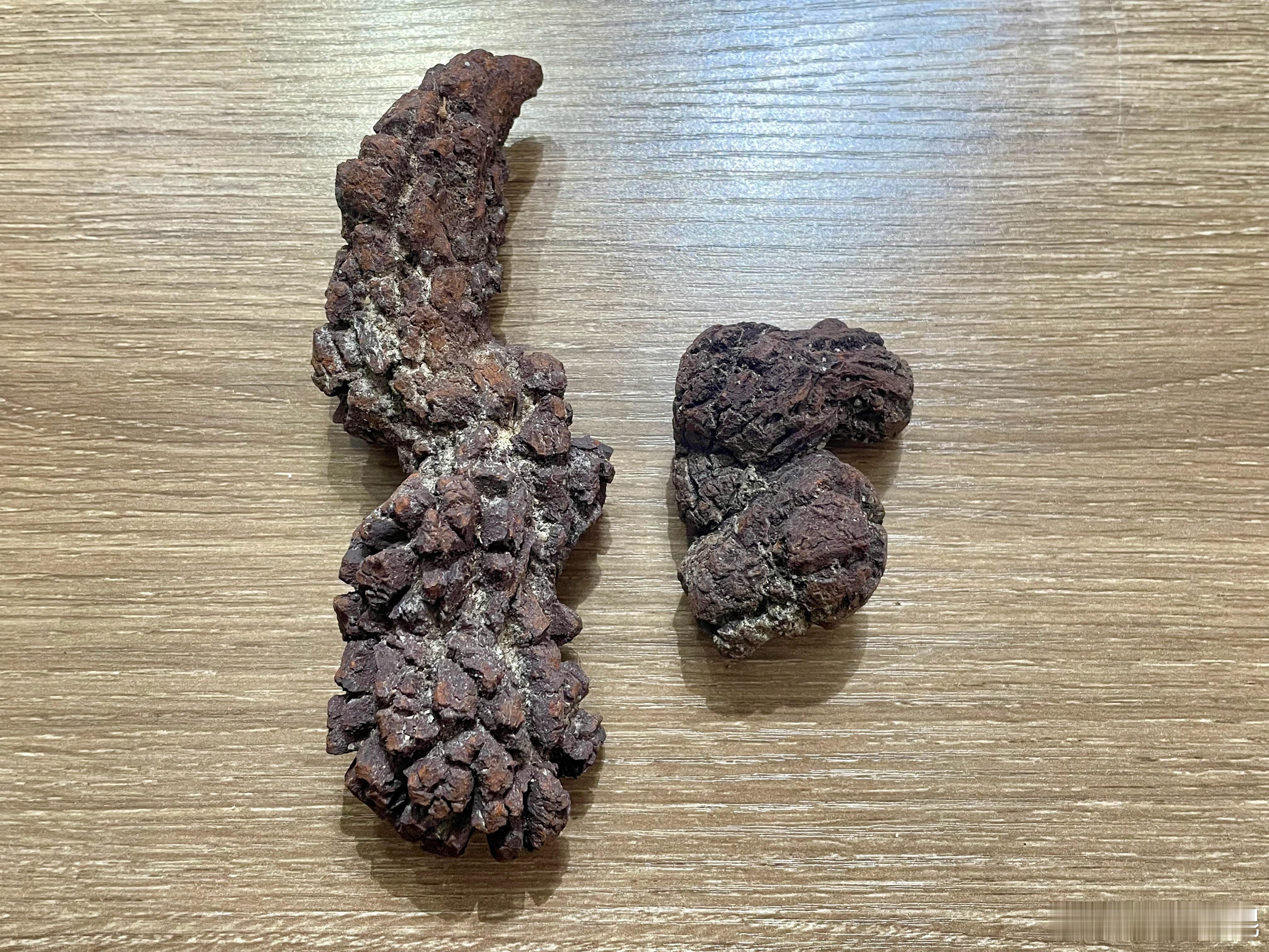 收藏一些恐龙化石但是。。是。。💩 