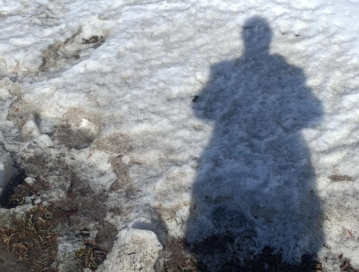 过年的鞭炮实在是太贵了！还是不买了吧！我是一般的平头老百姓，反正我是消费不起了，