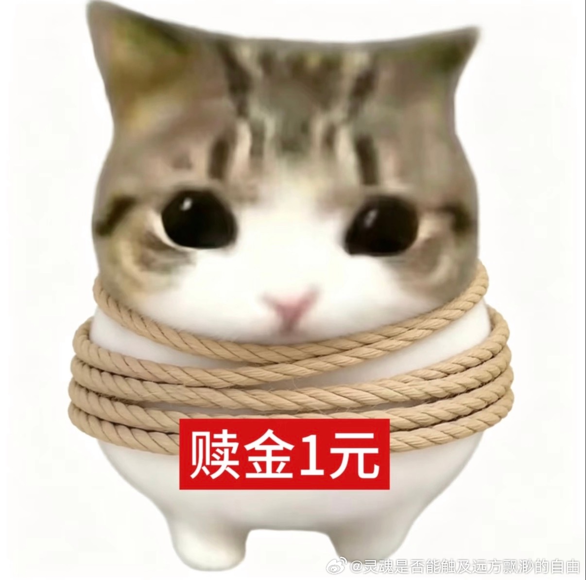我被绑架了赎金1元 