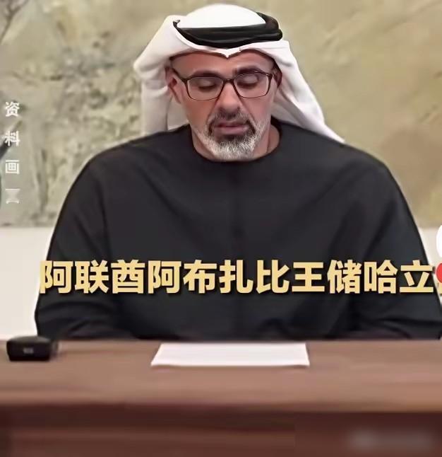 中国终究还是出手了！

美伊首轮谈判刚破裂就第一时间邀请阿联酋王储访华，这步棋真