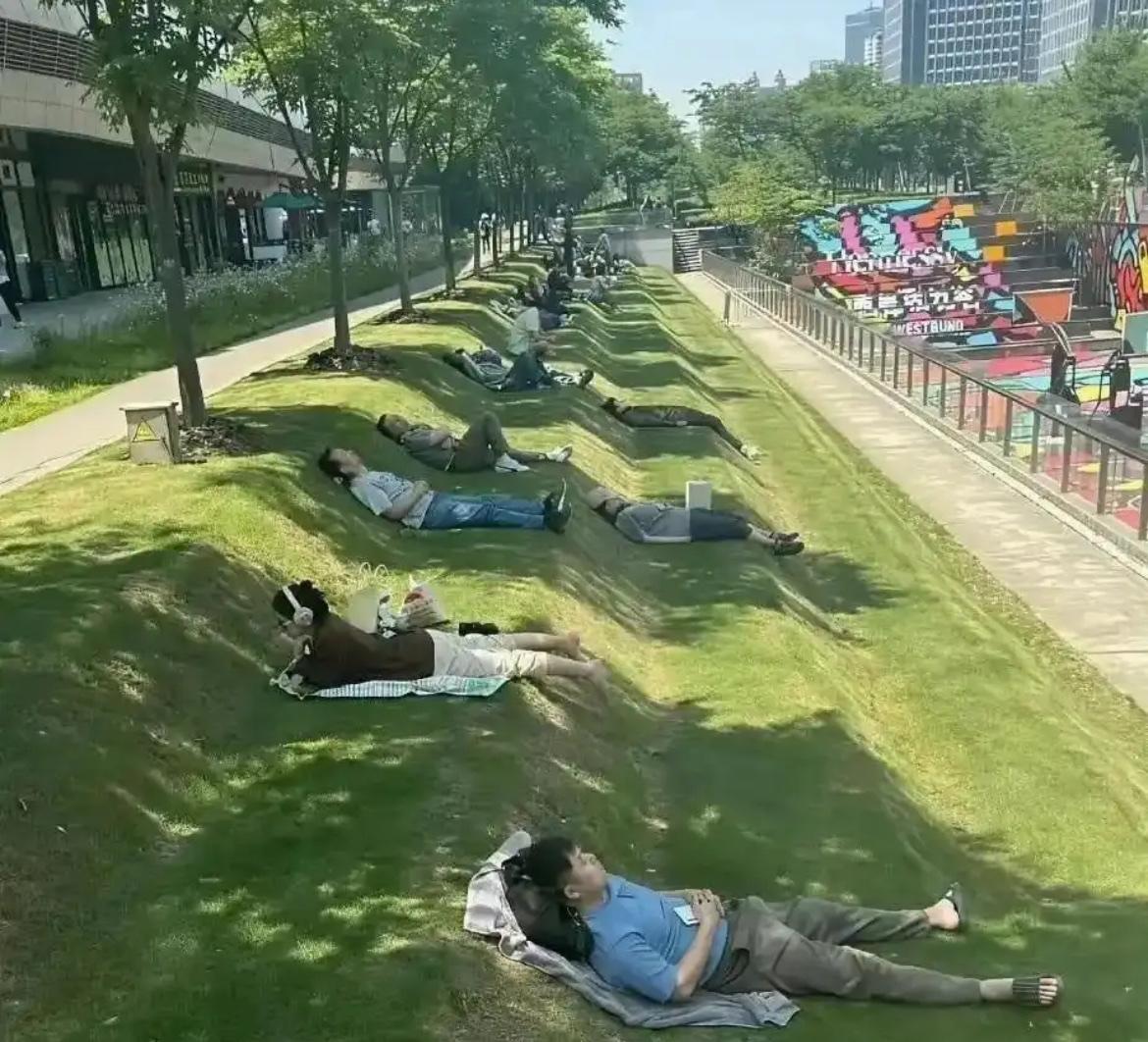 【@头条逗趣小鲁班】这个草坪真是一个休息的好地方[笑哭]